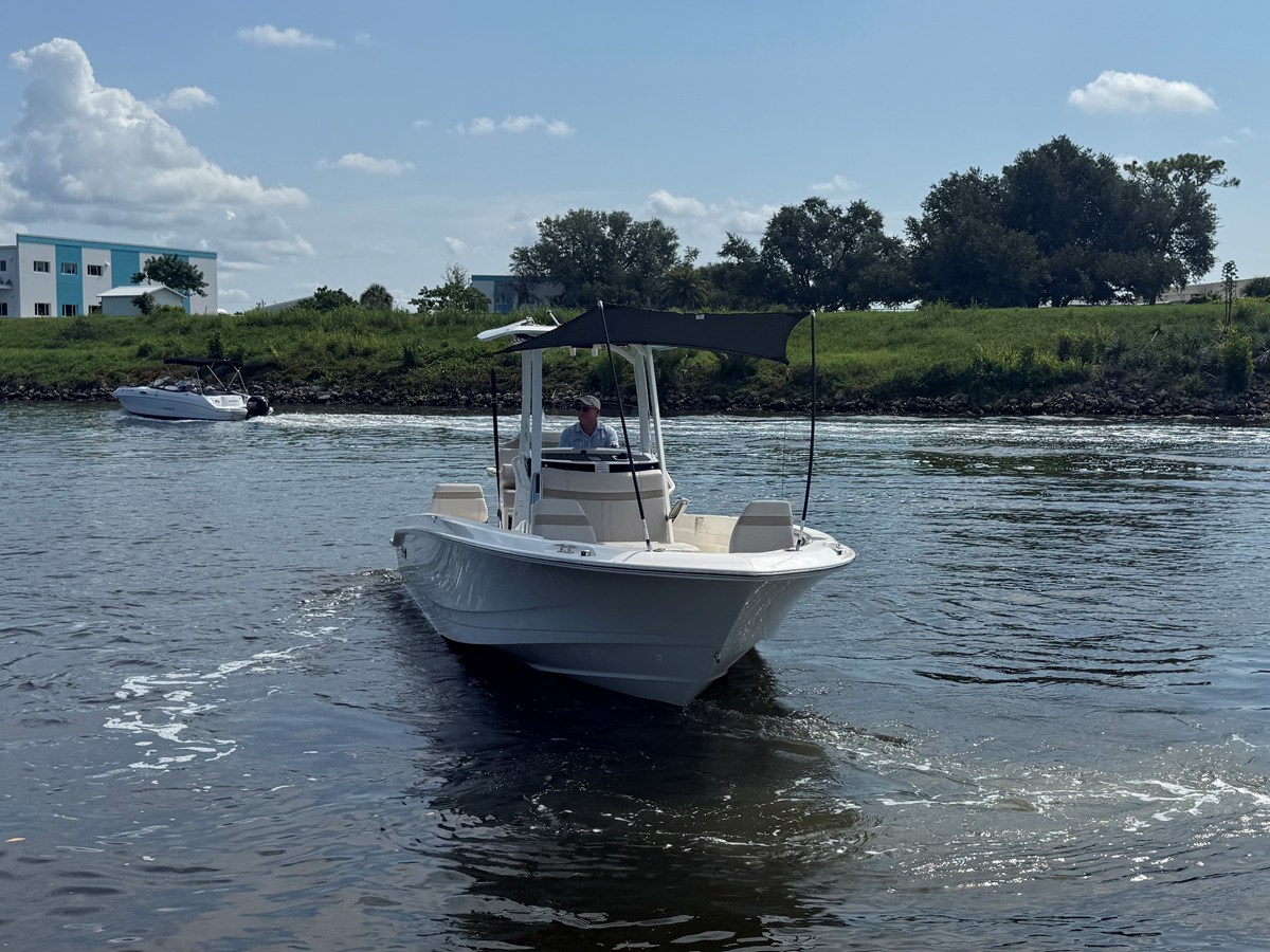 BOSTON WHALER 250 DAUNTLESS, photo 3