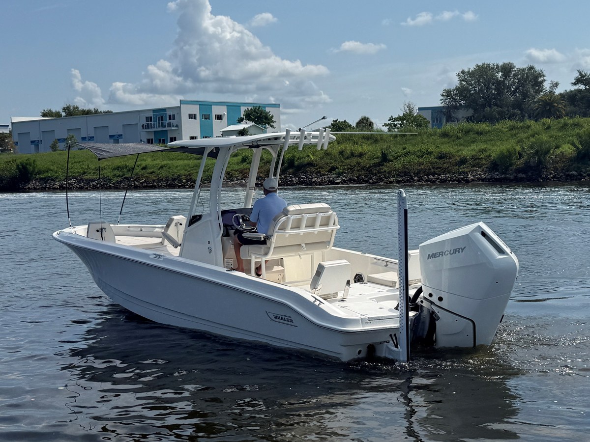 BOSTON WHALER 250 DAUNTLESS, photo 5