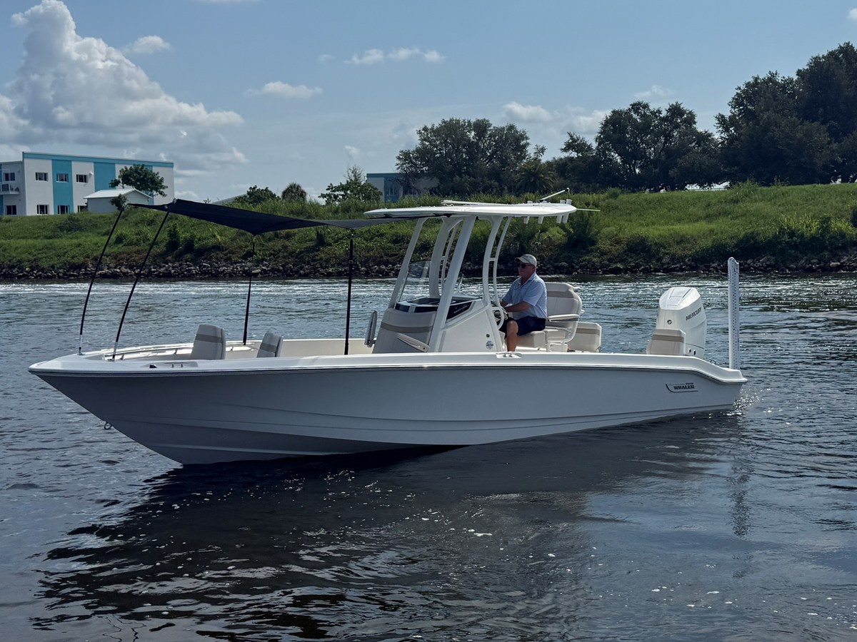 BOSTON WHALER 250 DAUNTLESS, photo 6