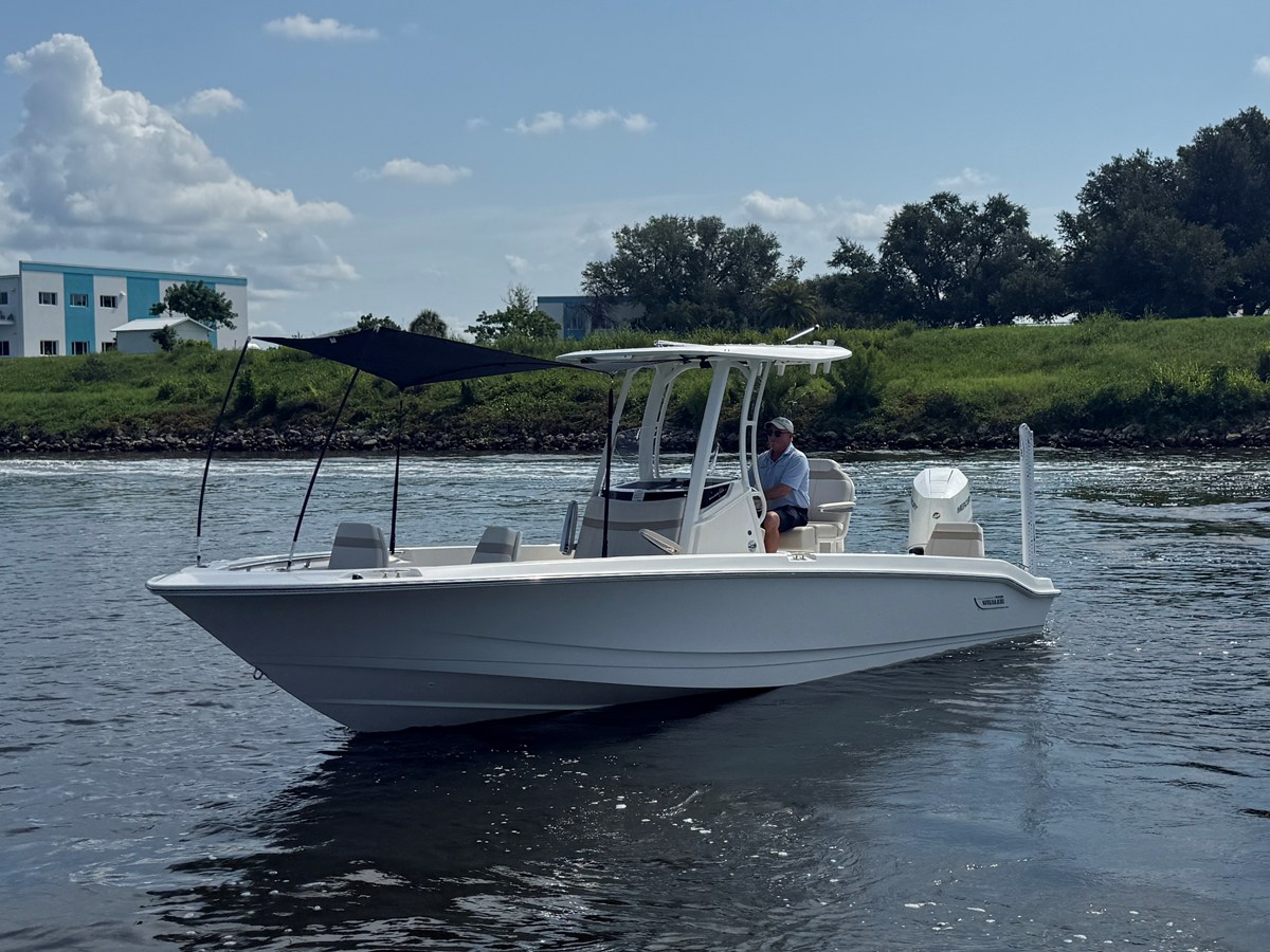 BOSTON WHALER 250 DAUNTLESS, photo 7