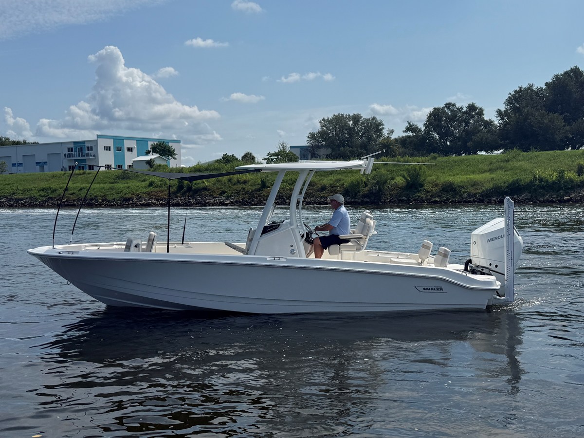 BOSTON WHALER 250 DAUNTLESS, photo 8