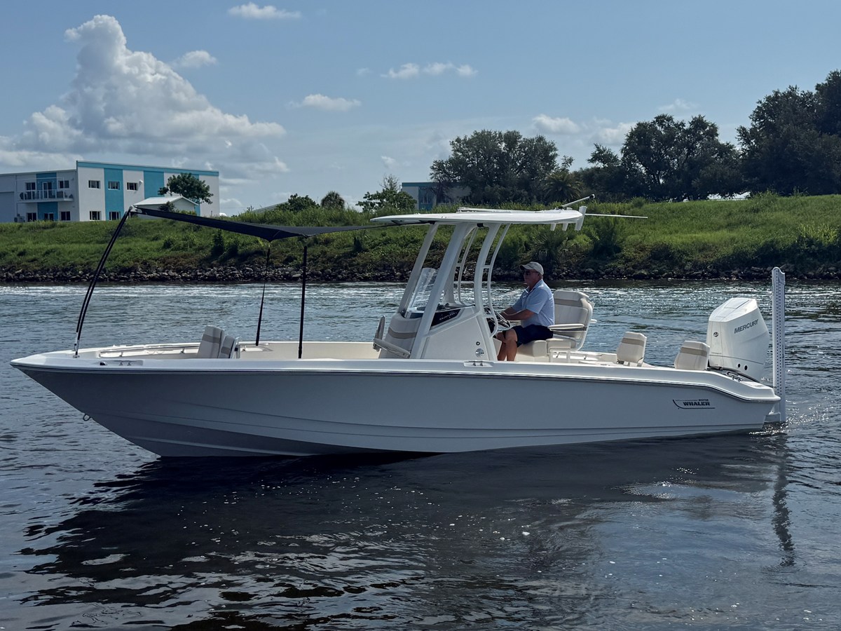 BOSTON WHALER 250 DAUNTLESS, photo 9