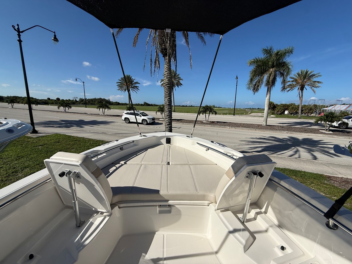 BOSTON WHALER 250 DAUNTLESS, photo 10