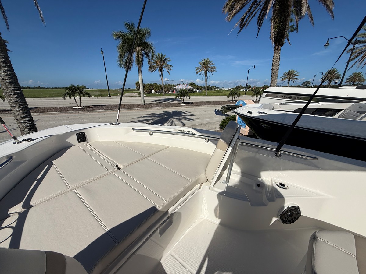 BOSTON WHALER 250 DAUNTLESS, photo 12