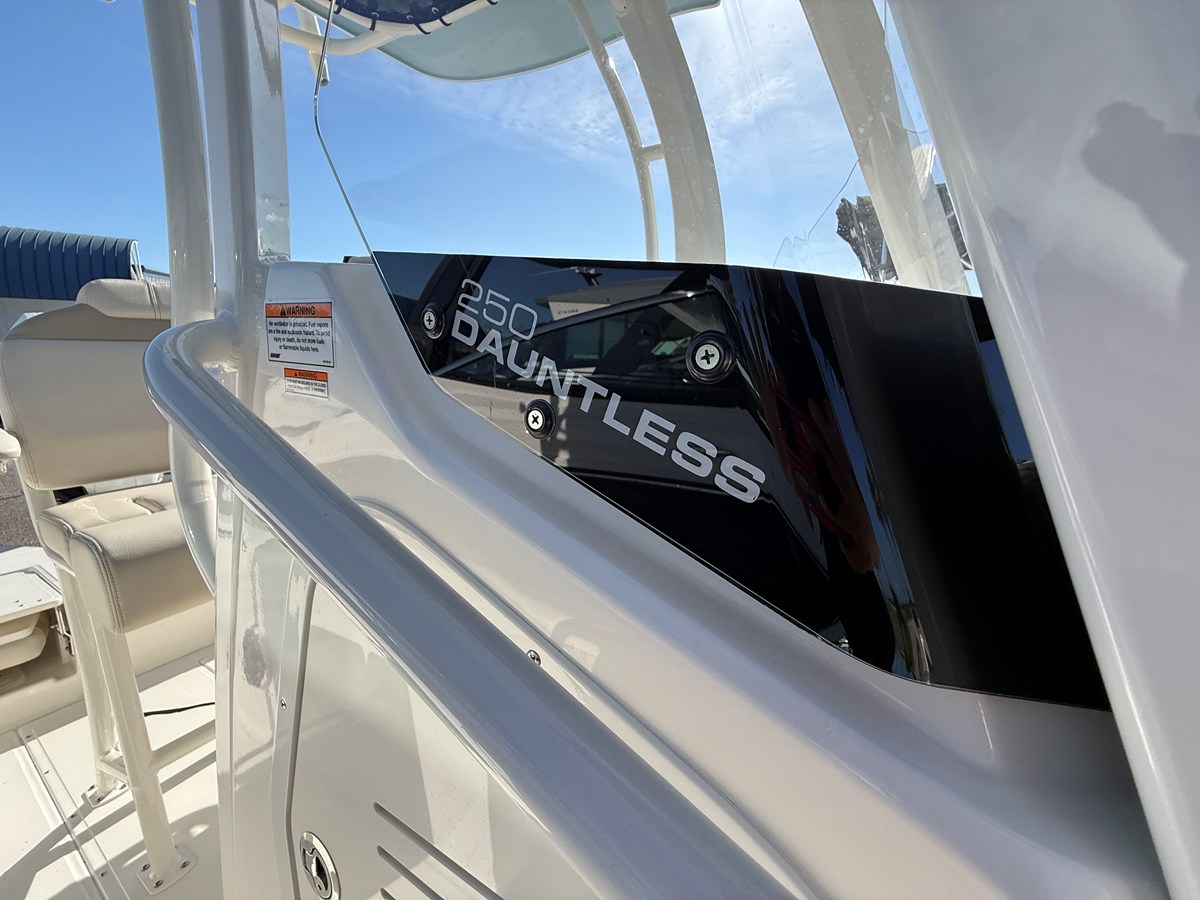 BOSTON WHALER 250 DAUNTLESS, photo 18