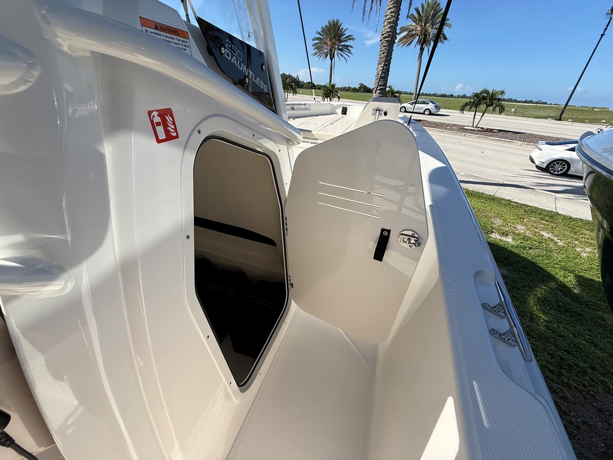 BOSTON WHALER 250 DAUNTLESS, photo 20