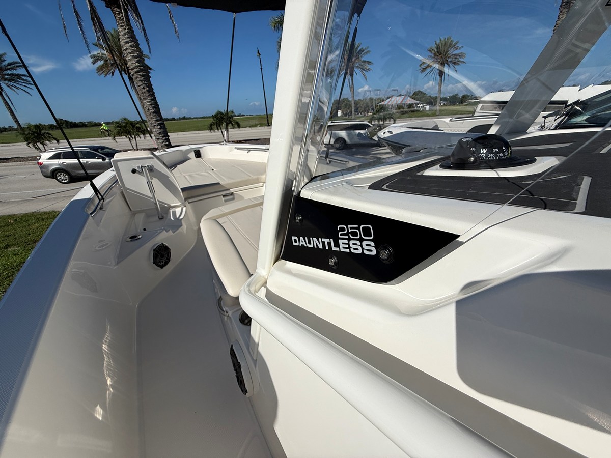 BOSTON WHALER 250 DAUNTLESS, photo 29