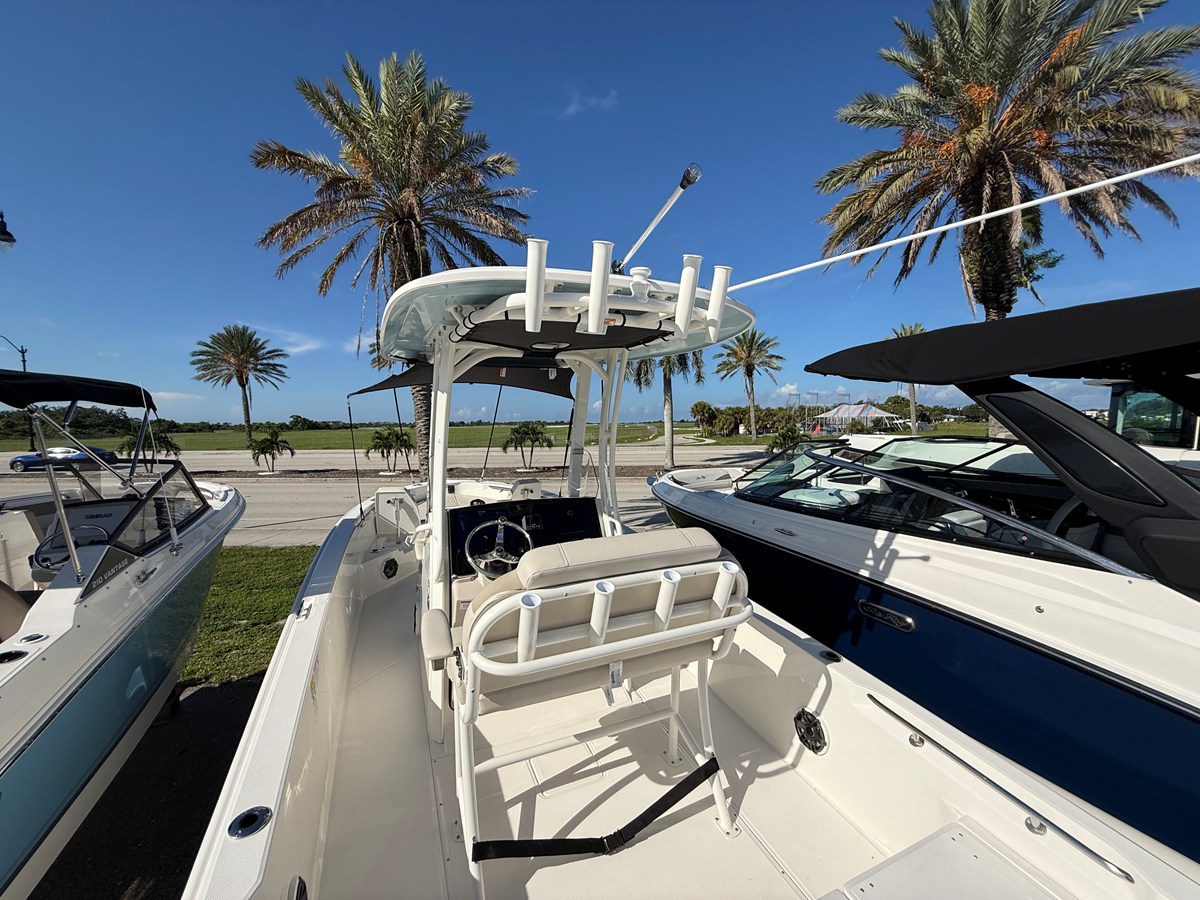 BOSTON WHALER 250 DAUNTLESS, photo 31
