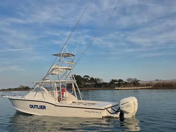 OCEAN MASTER 31 EXPRESS SPORT CABIN
