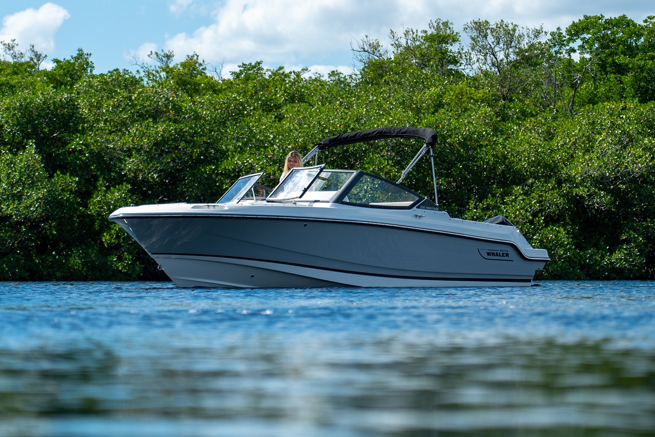 BOSTON WHALER 210 VANTAGE, photo 3