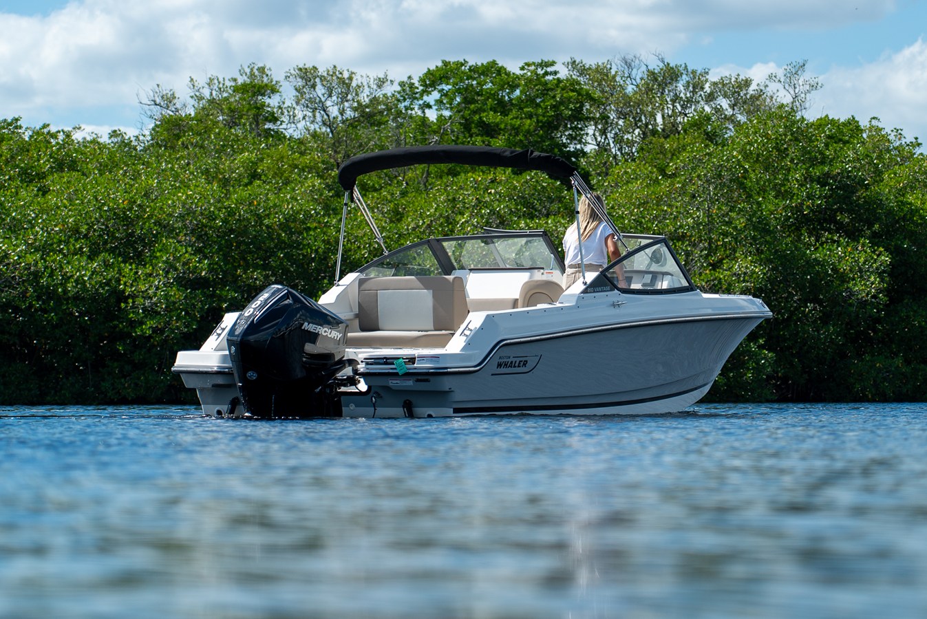 BOSTON WHALER 210 VANTAGE, photo 4