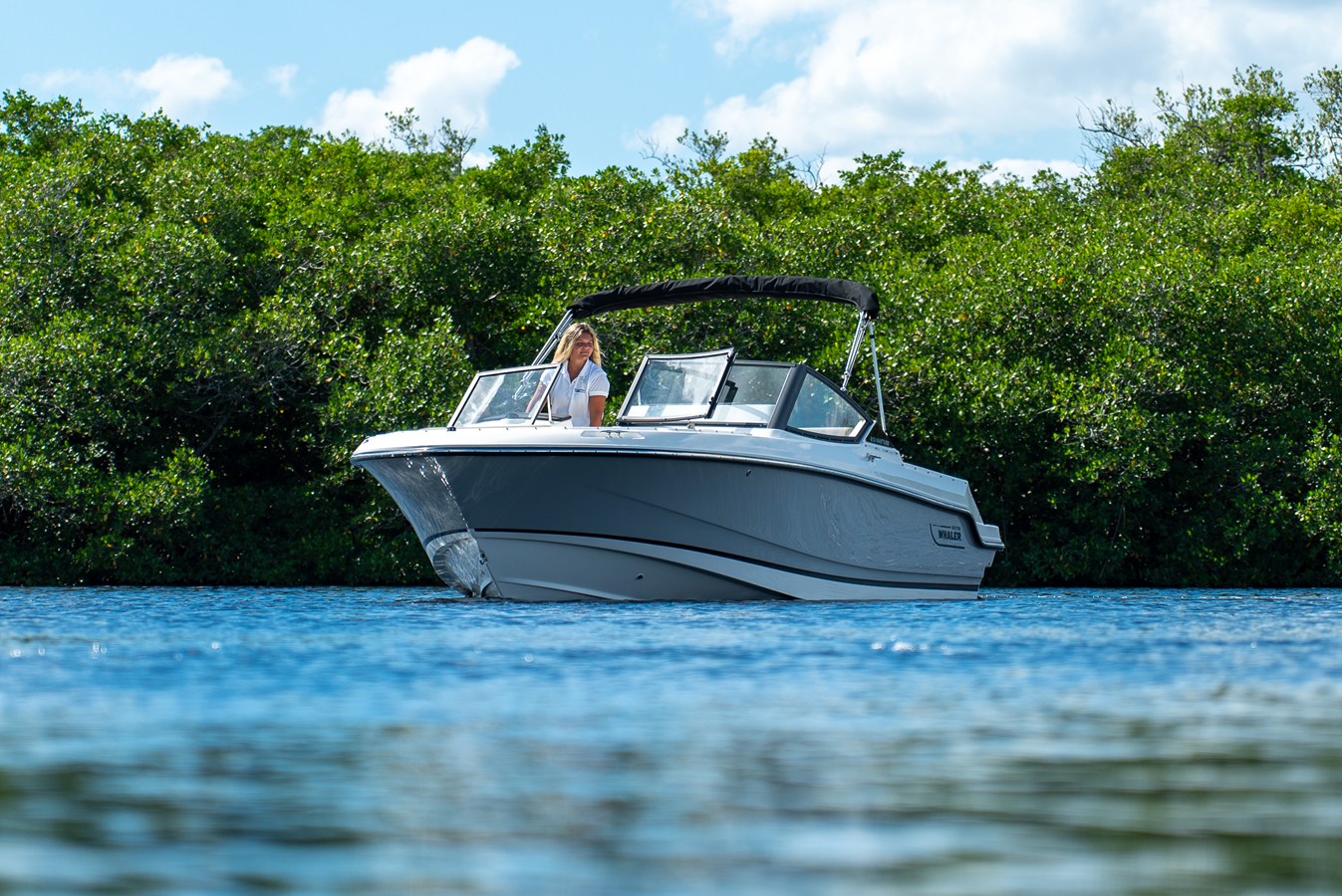 BOSTON WHALER 210 VANTAGE, photo 19