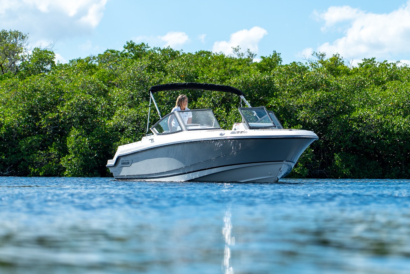 BOSTON WHALER 210 VANTAGE, photo 21