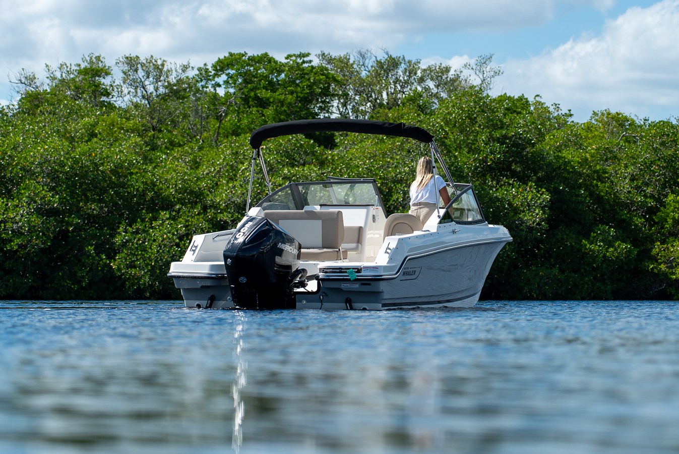 BOSTON WHALER 210 VANTAGE, photo 24