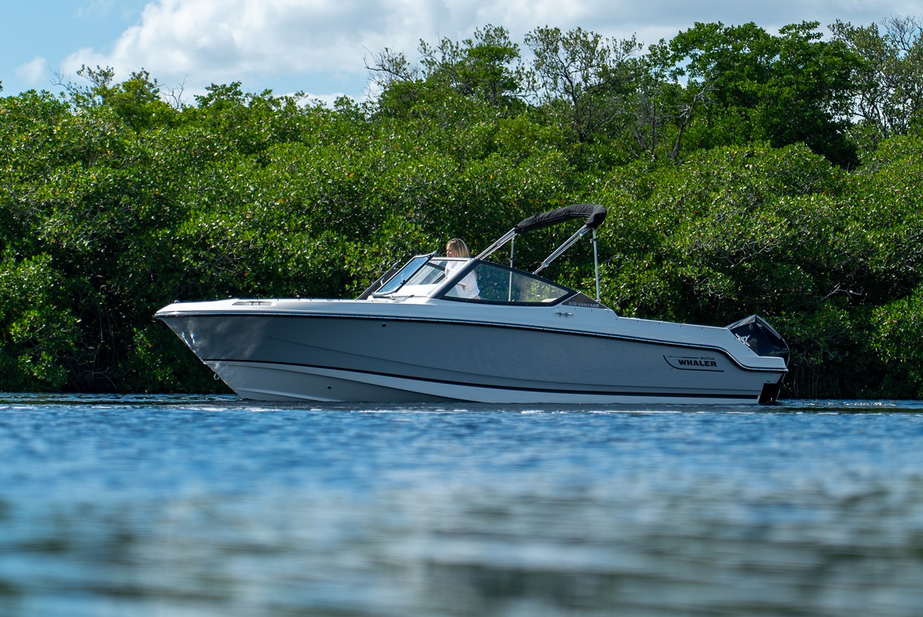 BOSTON WHALER 210 VANTAGE, photo 28