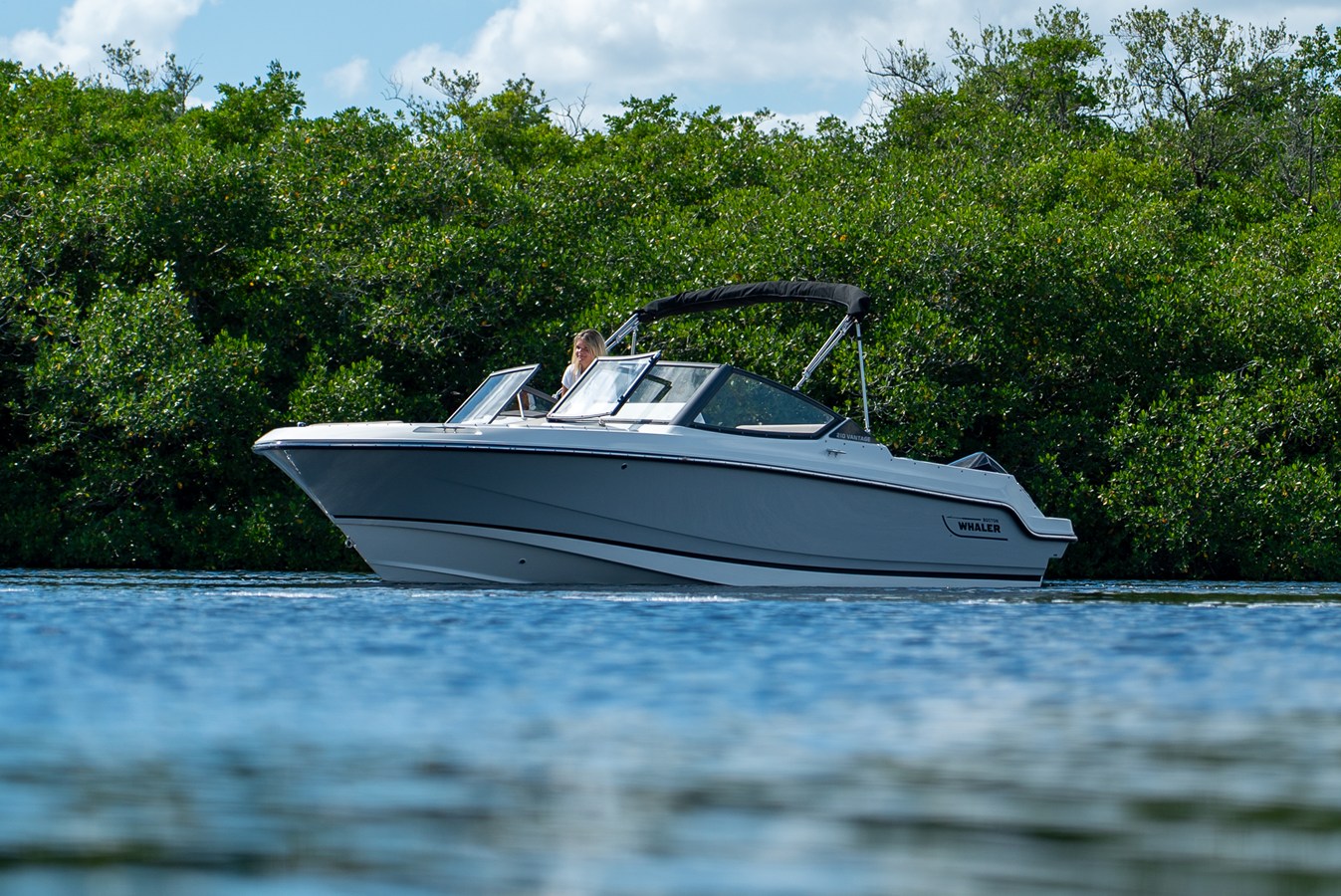 BOSTON WHALER 210 VANTAGE, photo 29