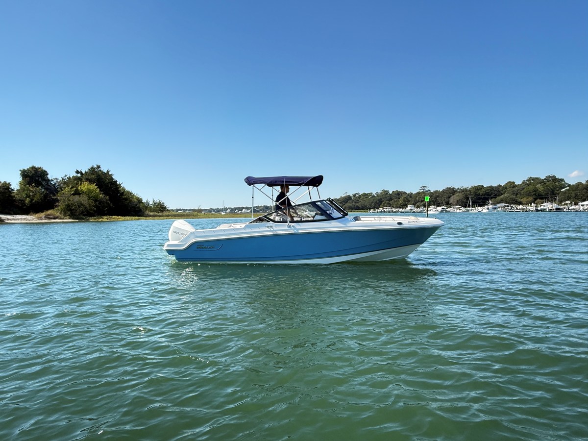 BOSTON WHALER 210 VANTAGE, photo 3