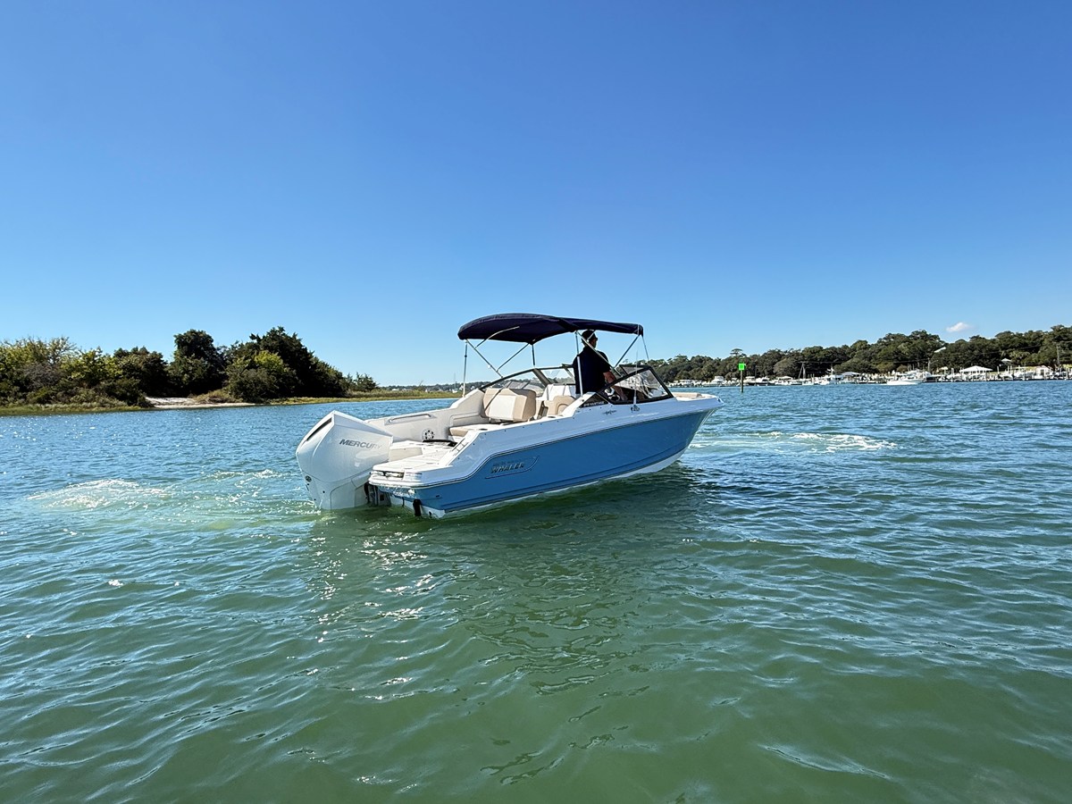 BOSTON WHALER 210 VANTAGE, photo 4