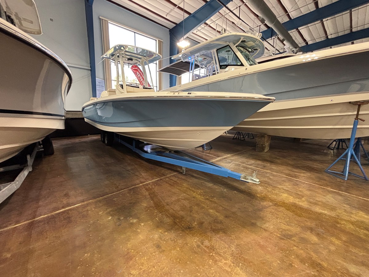 BOSTON WHALER 250 DAUNTLESS, photo 2