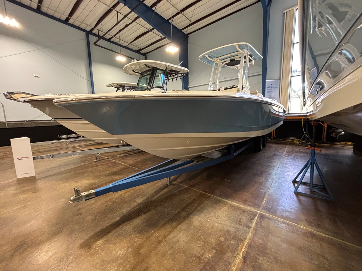 BOSTON WHALER 250 DAUNTLESS, photo 3