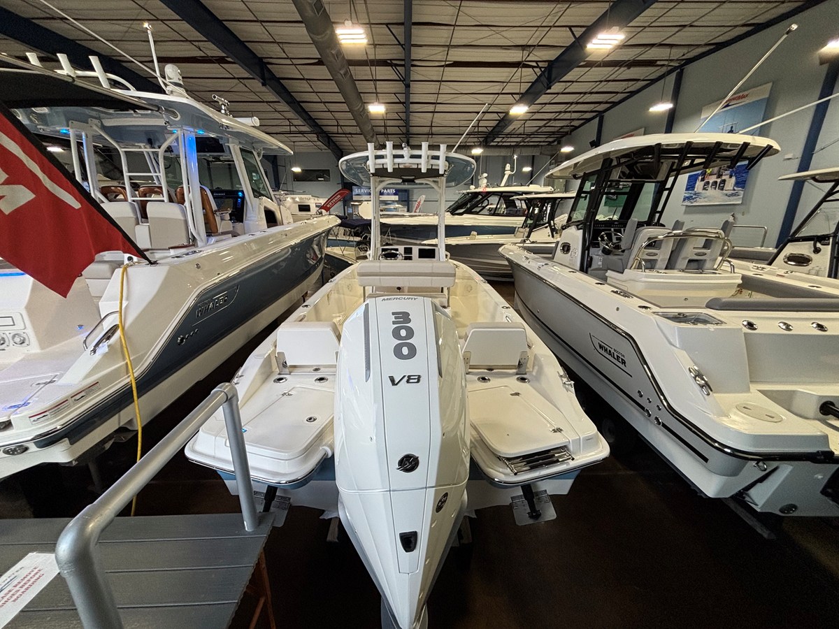 BOSTON WHALER 250 DAUNTLESS, photo 4