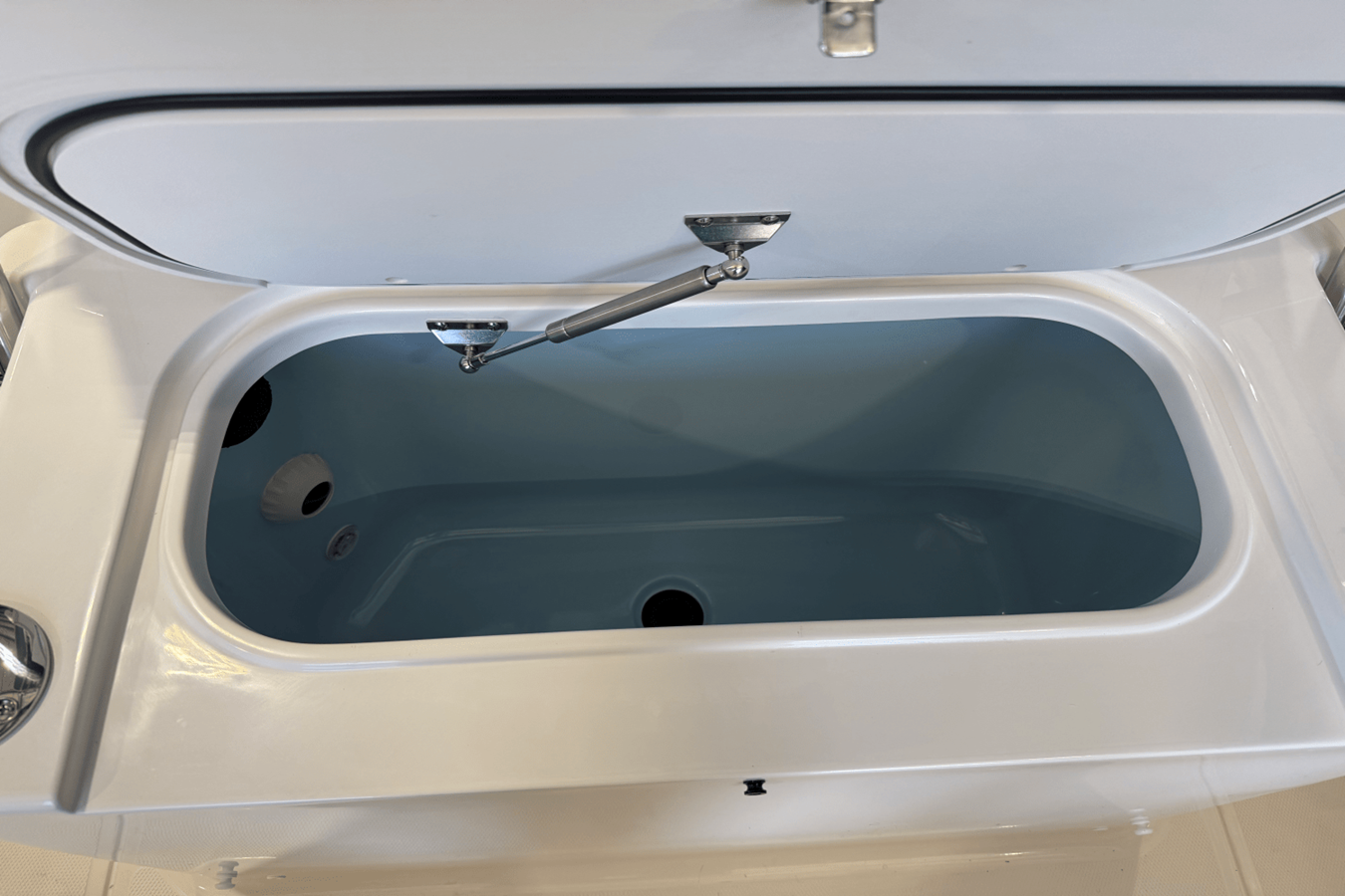 BOSTON WHALER 250 DAUNTLESS, photo 7