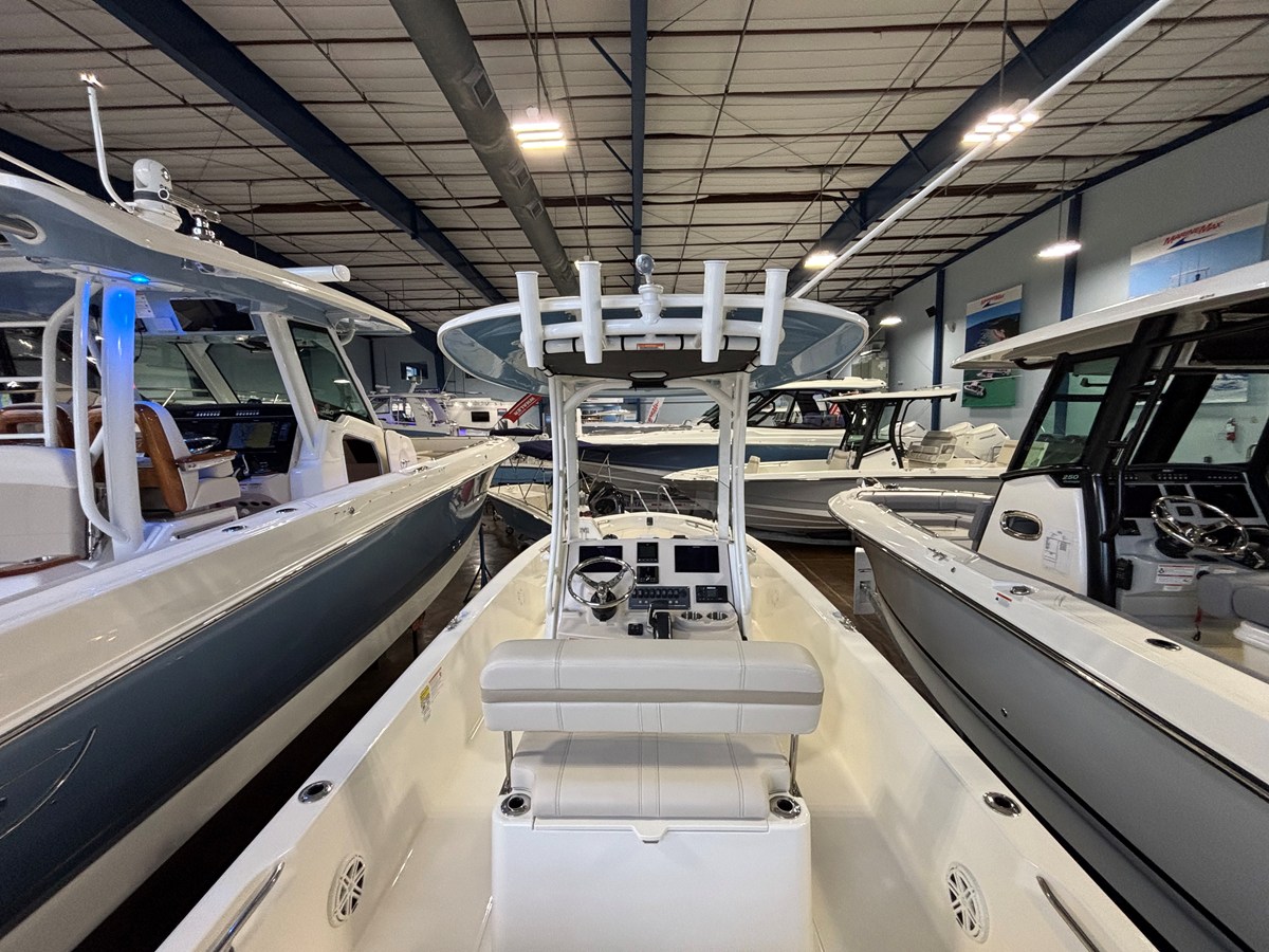 BOSTON WHALER 250 DAUNTLESS, photo 11