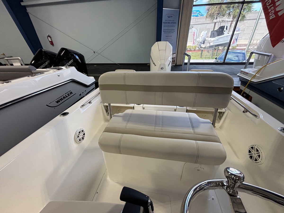 BOSTON WHALER 250 DAUNTLESS, photo 13