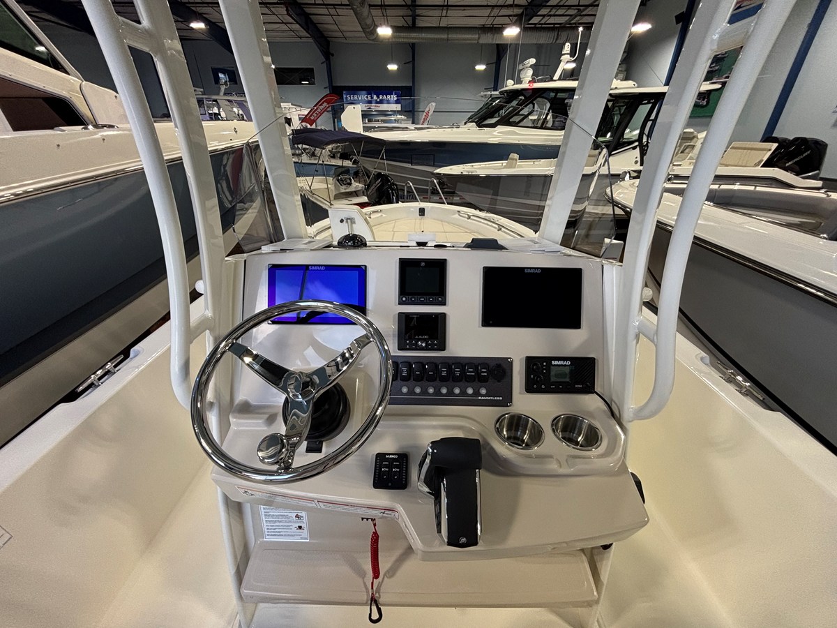 BOSTON WHALER 250 DAUNTLESS, photo 14