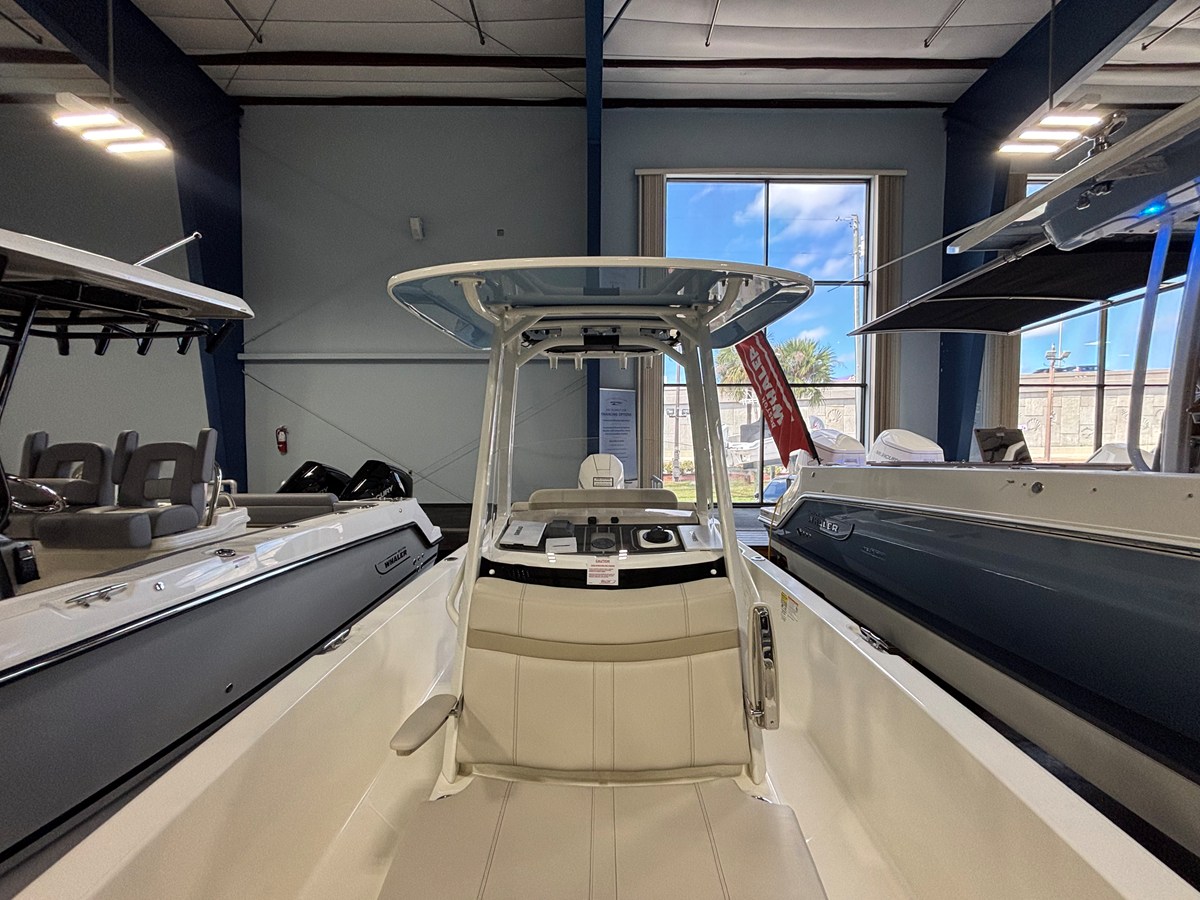 BOSTON WHALER 250 DAUNTLESS, photo 15