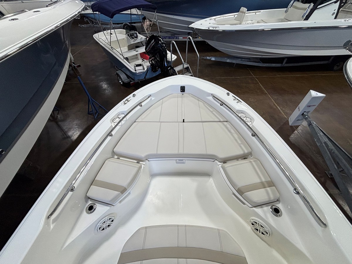 BOSTON WHALER 250 DAUNTLESS, photo 17