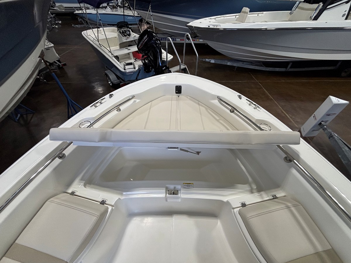 BOSTON WHALER 250 DAUNTLESS, photo 18