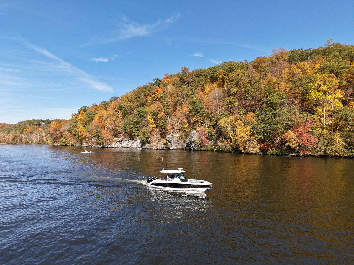 BOSTON WHALER 360 OUTRAGE, photo 13