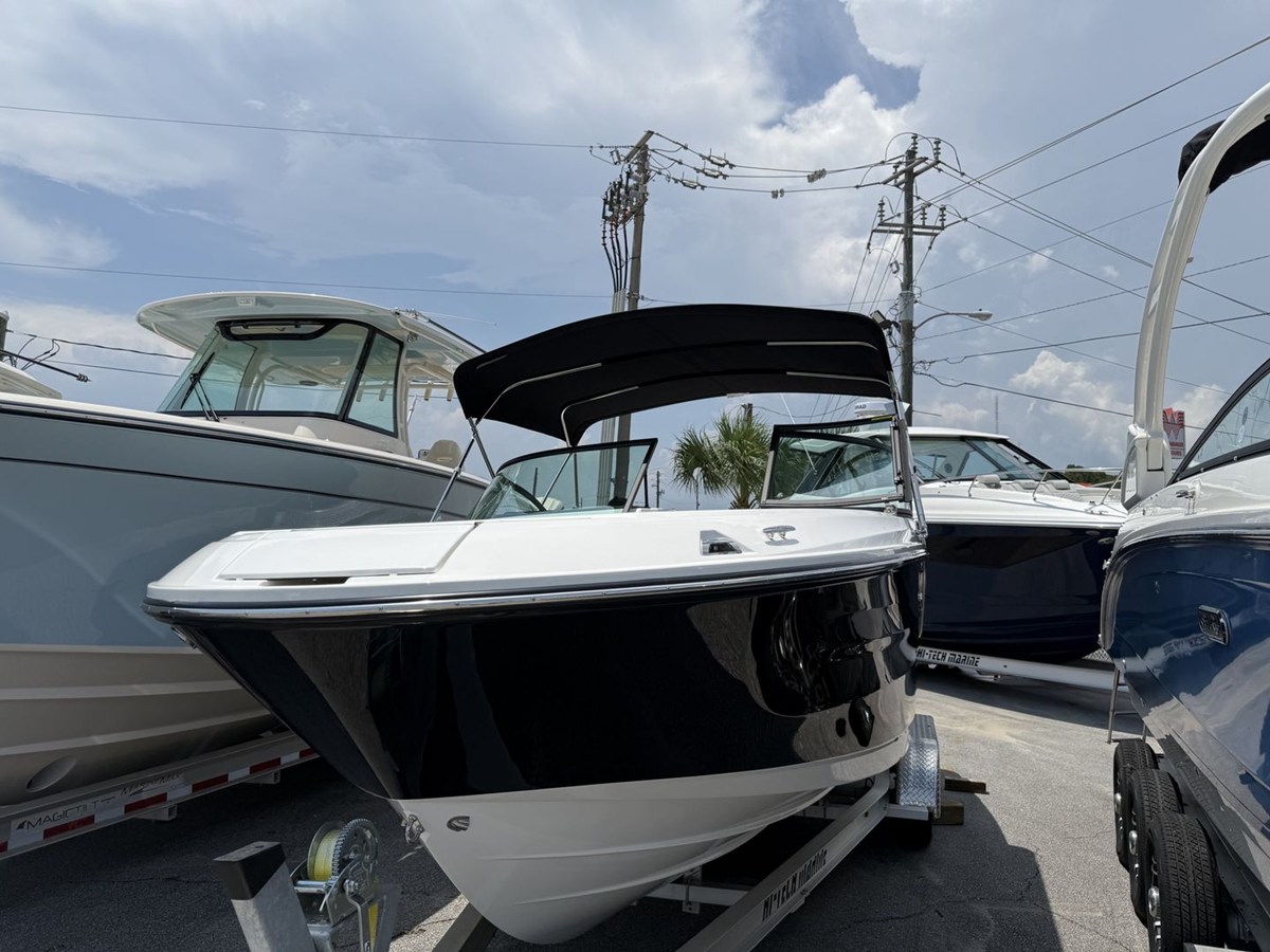SEA RAY SDX 230 OUTBOARD, photo 12