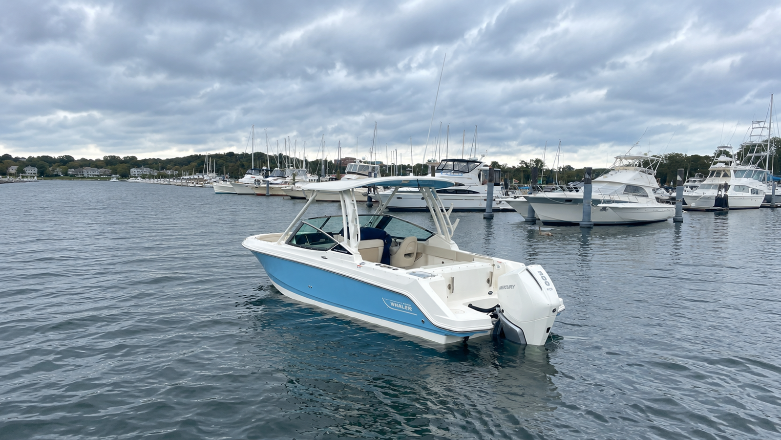 BOSTON WHALER 240 VANTAGE, photo 3