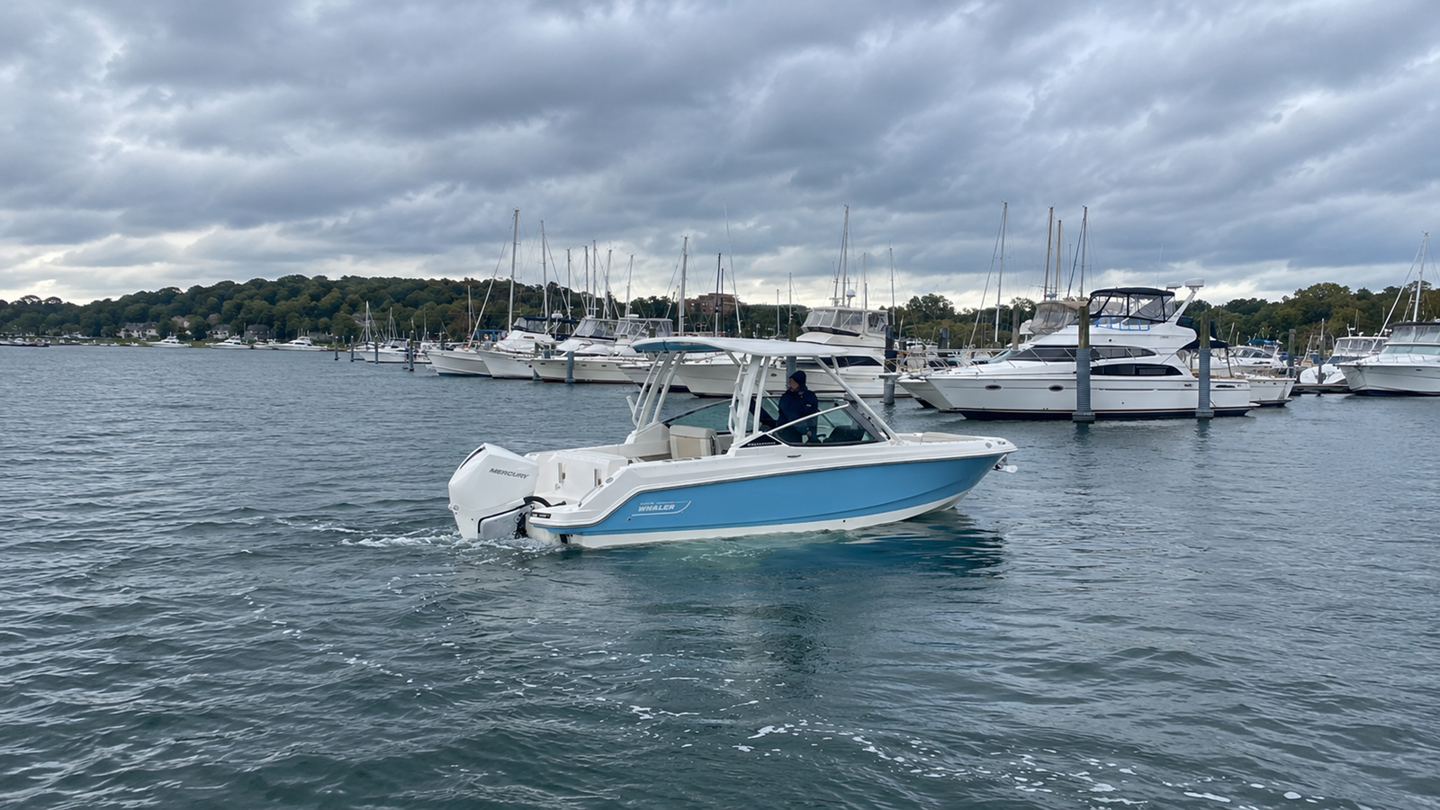 BOSTON WHALER 240 VANTAGE, photo 39