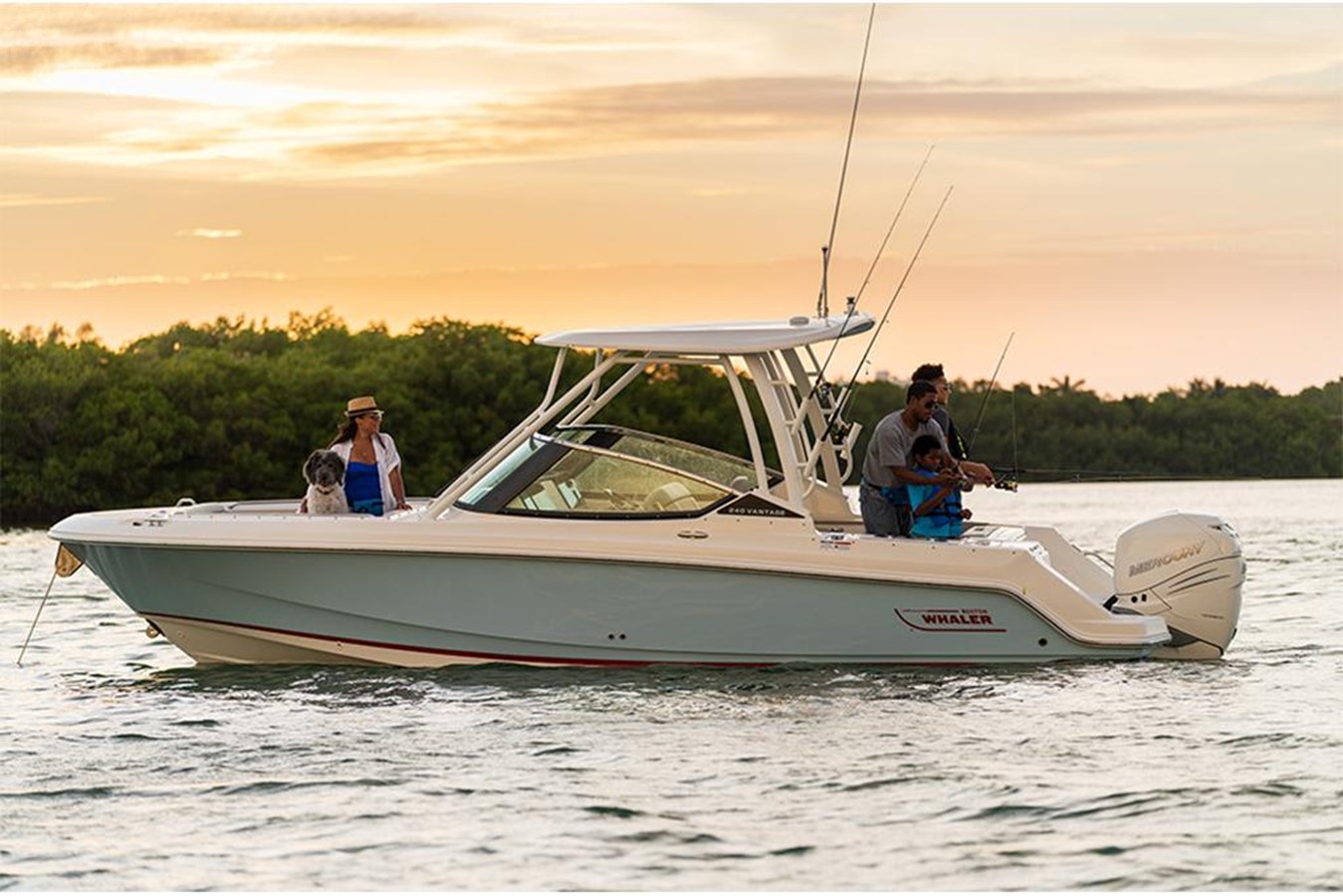BOSTON WHALER 240 VANTAGE, photo 4