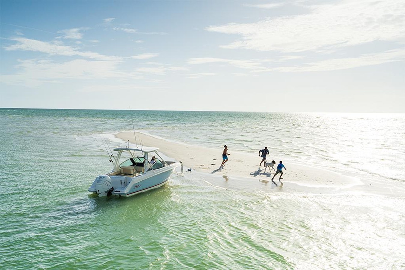 BOSTON WHALER 240 VANTAGE, photo 13