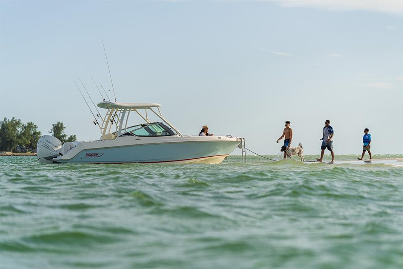 BOSTON WHALER 240 VANTAGE, photo 16
