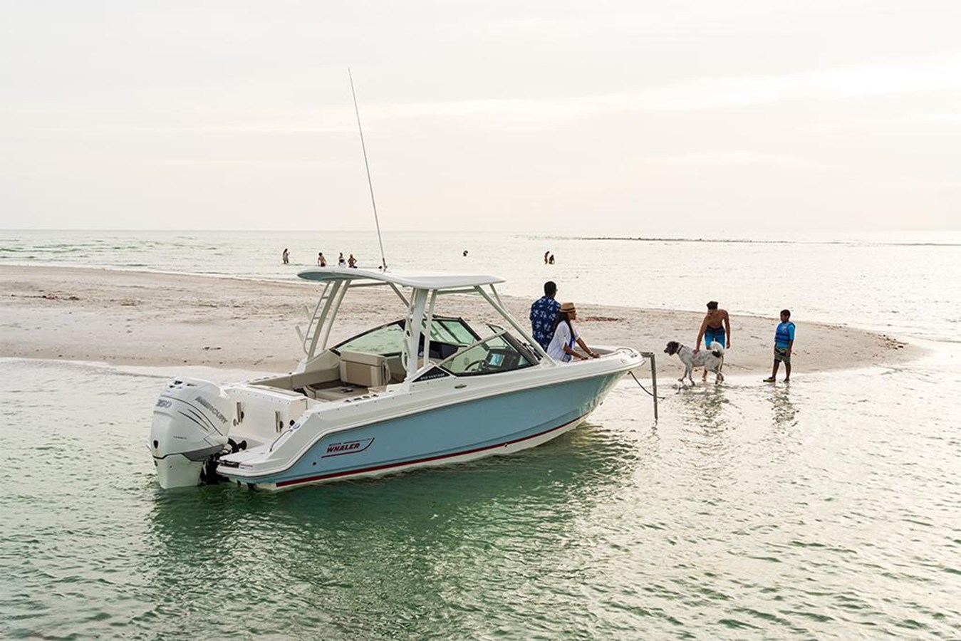 BOSTON WHALER 240 VANTAGE, photo 18