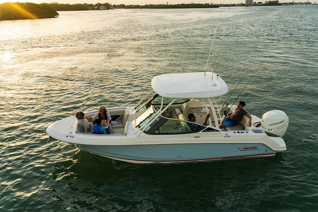 BOSTON WHALER 240 VANTAGE, photo 36