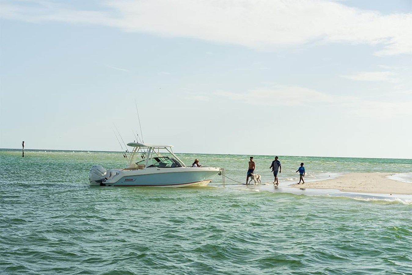 BOSTON WHALER 240 VANTAGE, photo 50