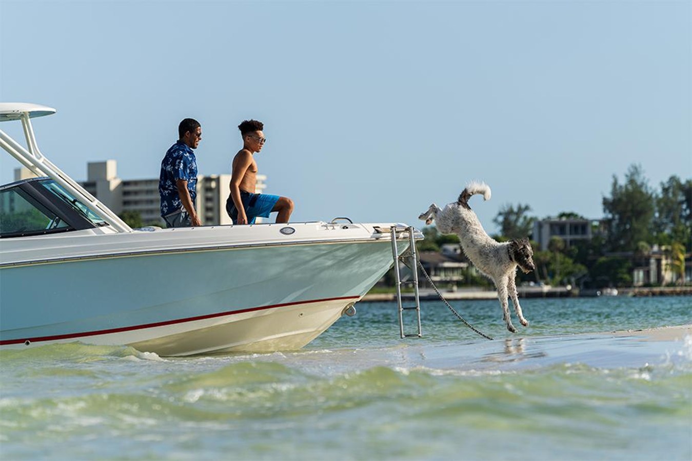 BOSTON WHALER 240 VANTAGE, photo 66