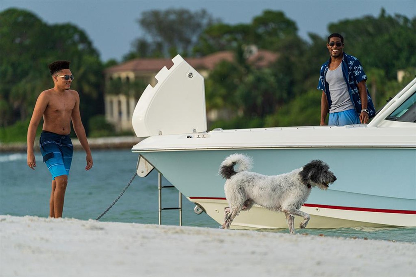 BOSTON WHALER 240 VANTAGE, photo 67
