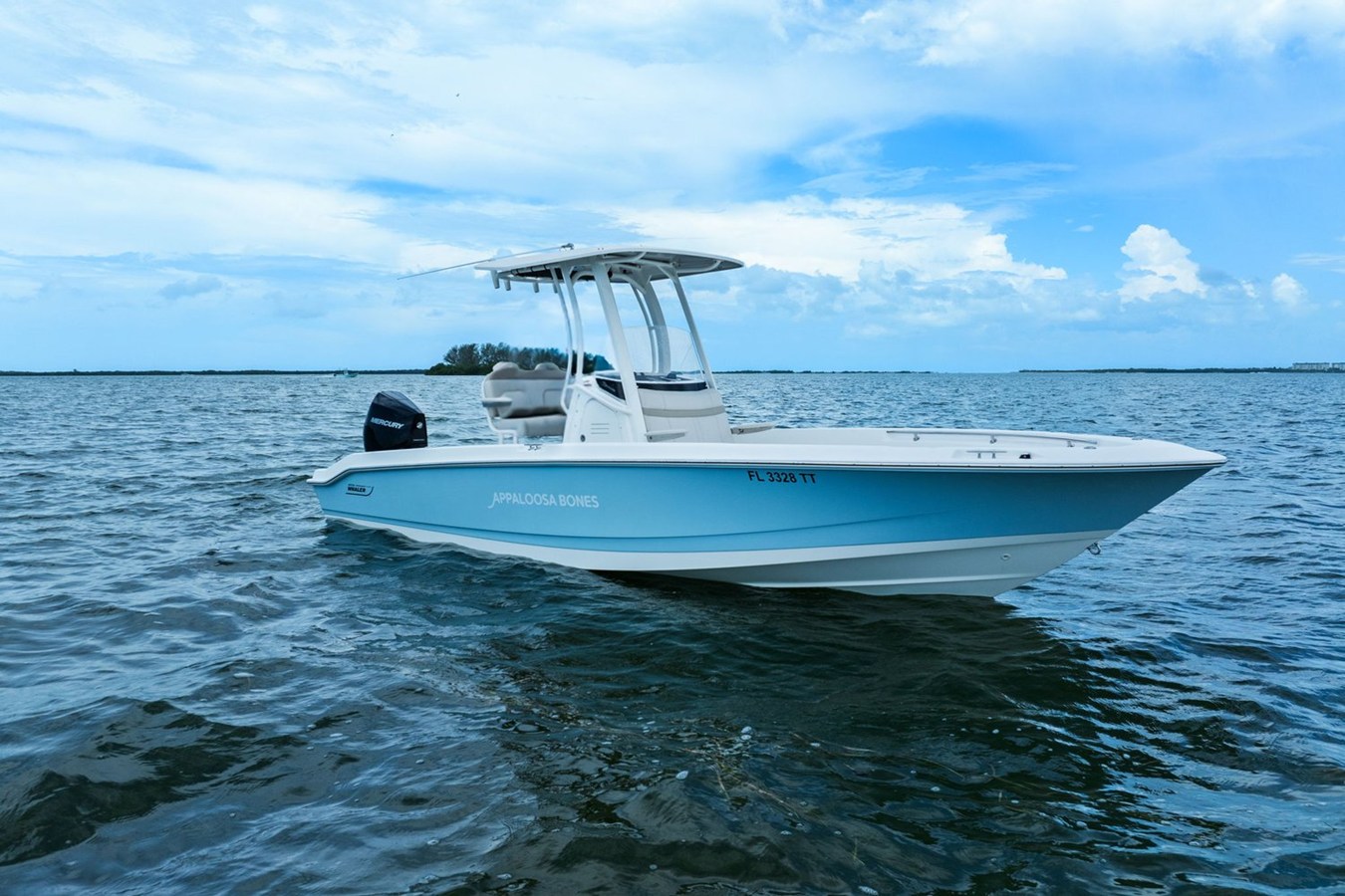 Boston Whaler 250 DAUNTLESS — 2024 Boston Whaler 250 Dauntless — photo 3