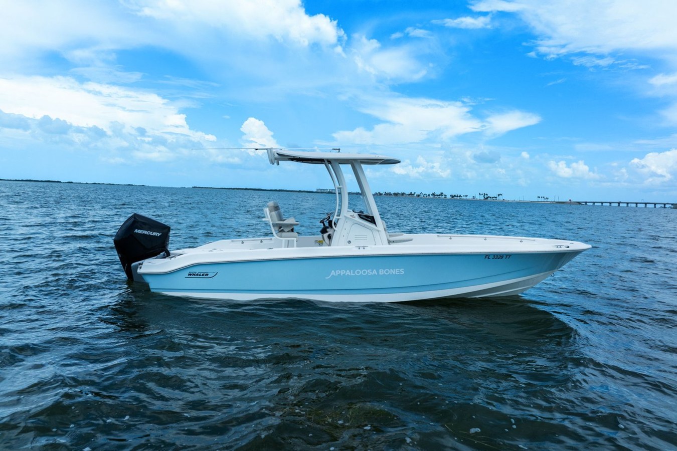 Boston Whaler 250 DAUNTLESS — 2024 Boston Whaler 250 Dauntless — photo 4