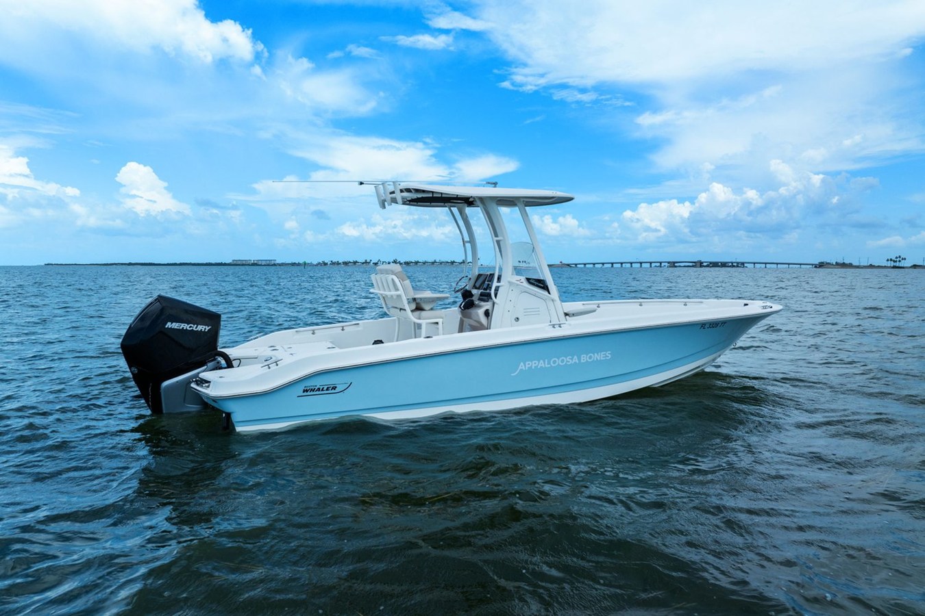 Boston Whaler 250 DAUNTLESS — 2024 Boston Whaler 250 Dauntless — photo 5