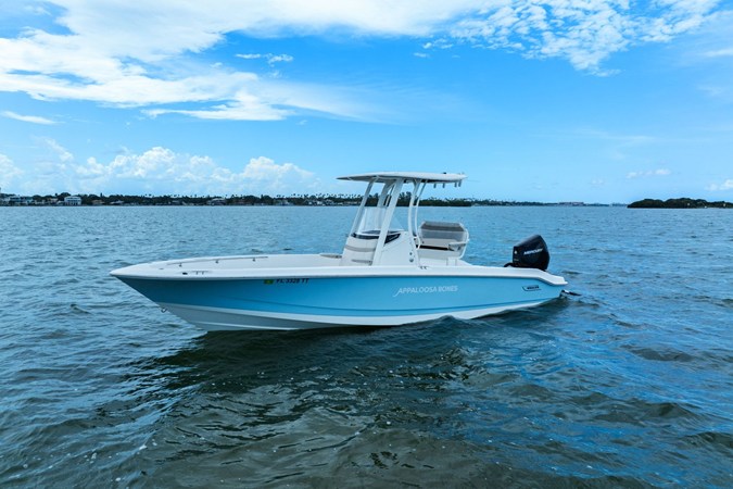 BOSTON WHALER 250 DAUNTLESS — 2024 Boston Whaler 250 Dauntless