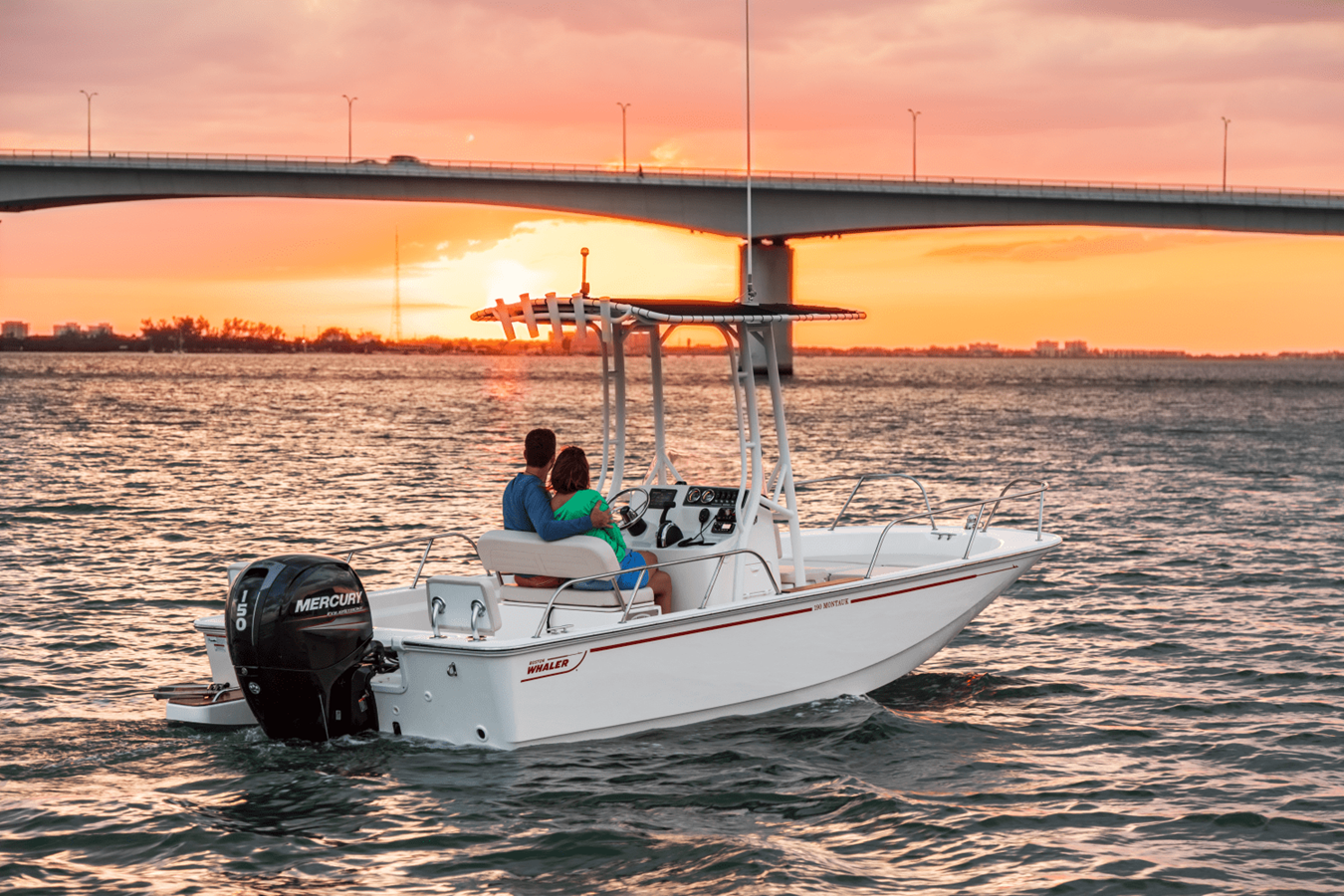 BOSTON WHALER 190 MONTAUK, photo 7