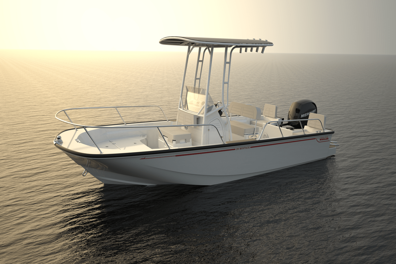 BOSTON WHALER 190 MONTAUK, photo 9